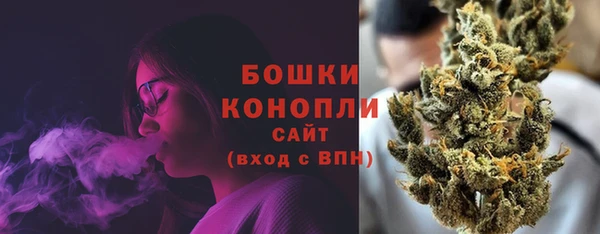 PSILOCYBIN Балахна