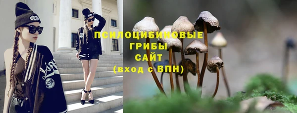 PSILOCYBIN Балахна