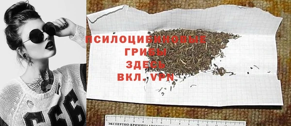 PSILOCYBIN Балахна